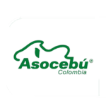 zasocebu
