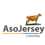 zjersey